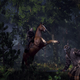 Illustration for article titled emThe Witcher 3/em Looks Ready for the PS4 in These New Screenshots